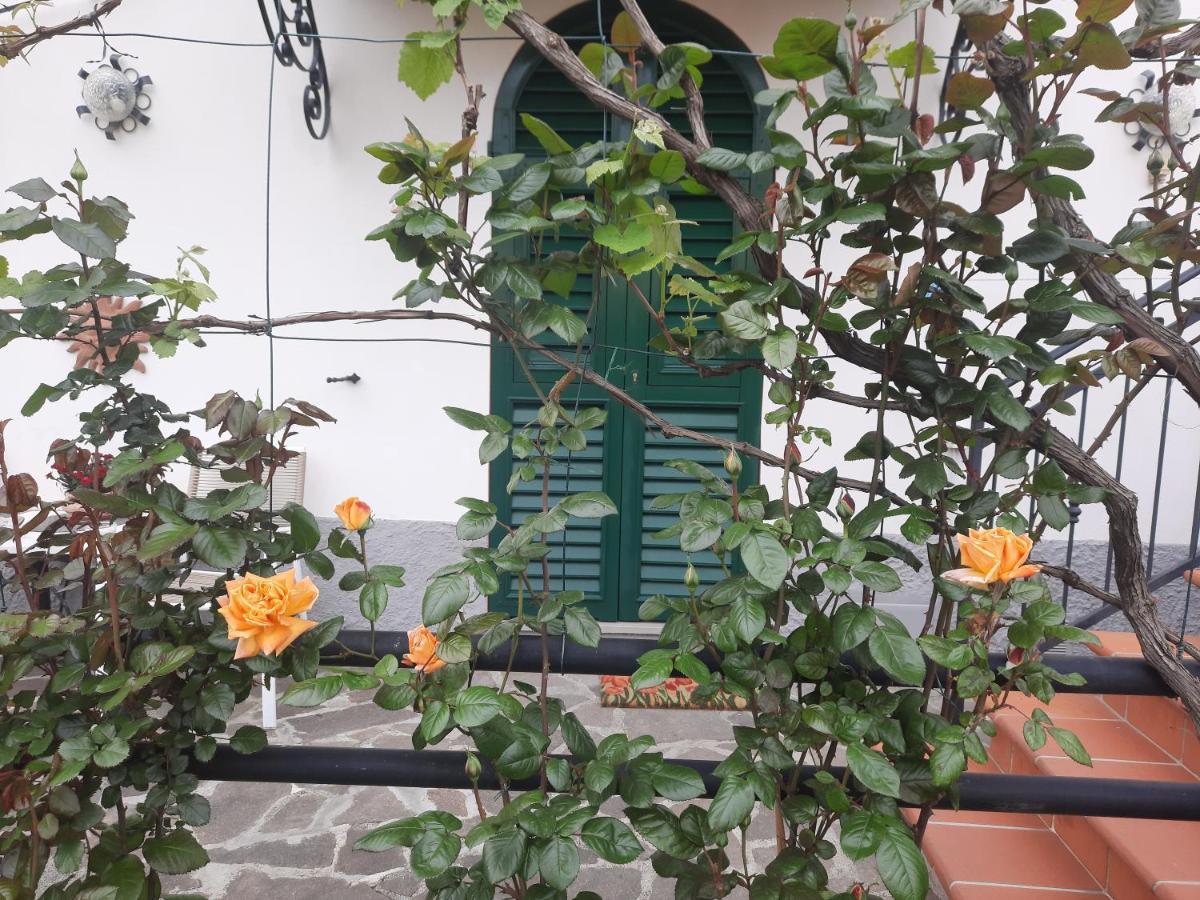 La Villa ลาสเปเซีย ภายนอก รูปภาพ