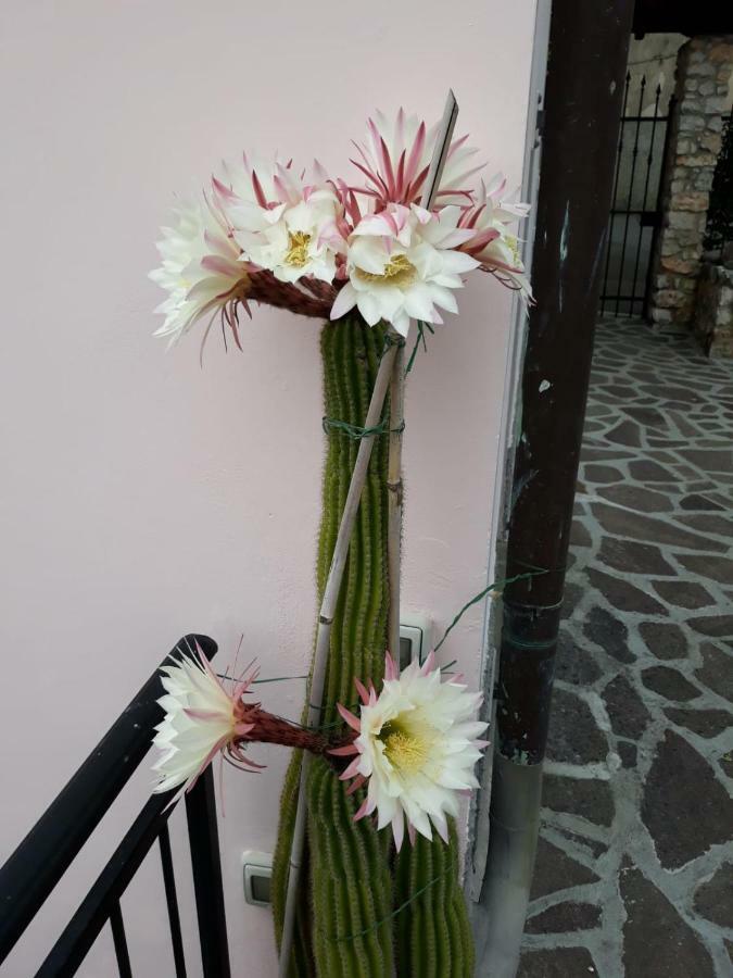 La Villa ลาสเปเซีย ภายนอก รูปภาพ
